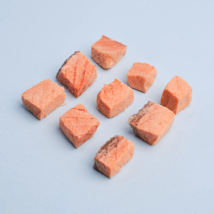 WildChow Freeze Dried Salmon Bites Treats For Dogs & Cats