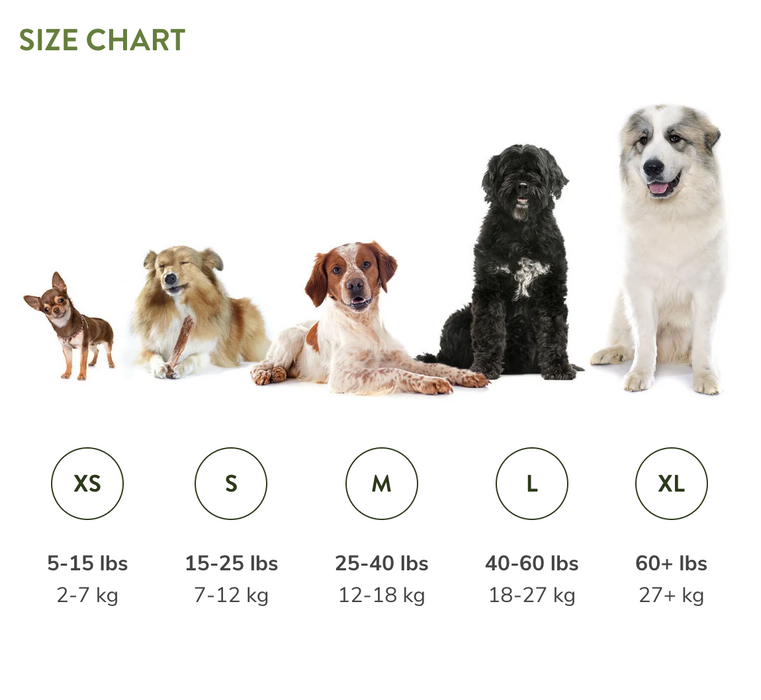 Whimzees Occupy Medium Natural Dental Dog Chews (12Pcs)