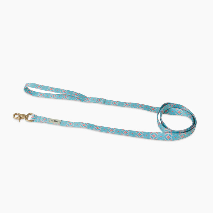 10% OFF: Ohpopdog Heritage Collection Straits Mint Nylon Leash