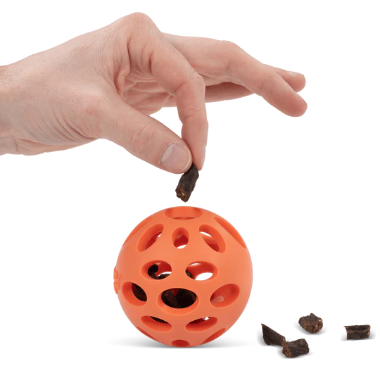 10% OFF: Messy Mutts Orange Totally Pooched Huff'n Puff Dog Ball Dog Toy