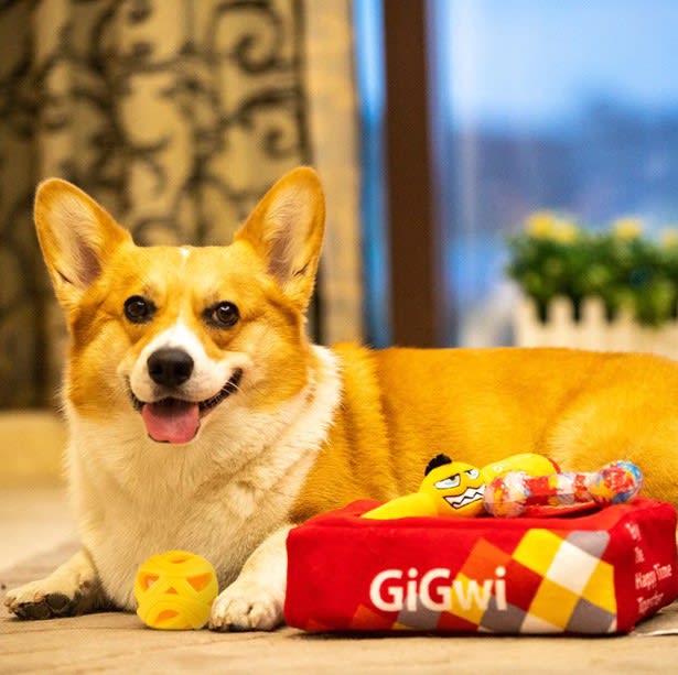 GiGwi Hide N' Seek G-Box Plush Toy For Dogs
