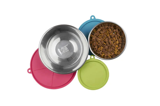 10% OFF: Messy Mutts Three Stainless Steel Dog Bowls + Three Silicone Lids (Assorted Colour)