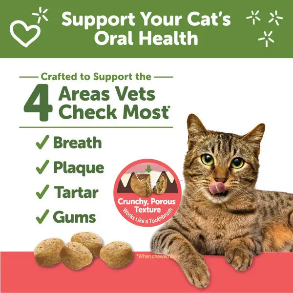 Whimzees Natural Chicken & Salmon Flavour Dental Treats For Cats