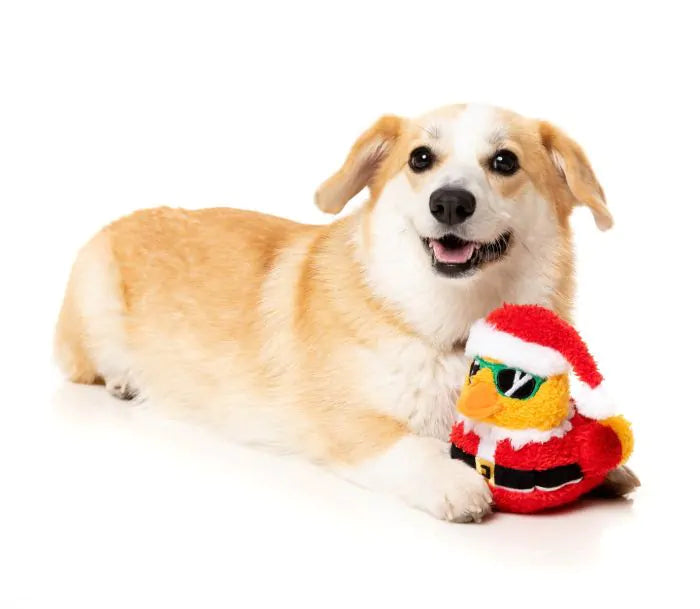 [CHRISTMAS🎄🎅 ] 15% OFF: FuzzYard Christmas Quaker Plush Dog Toy