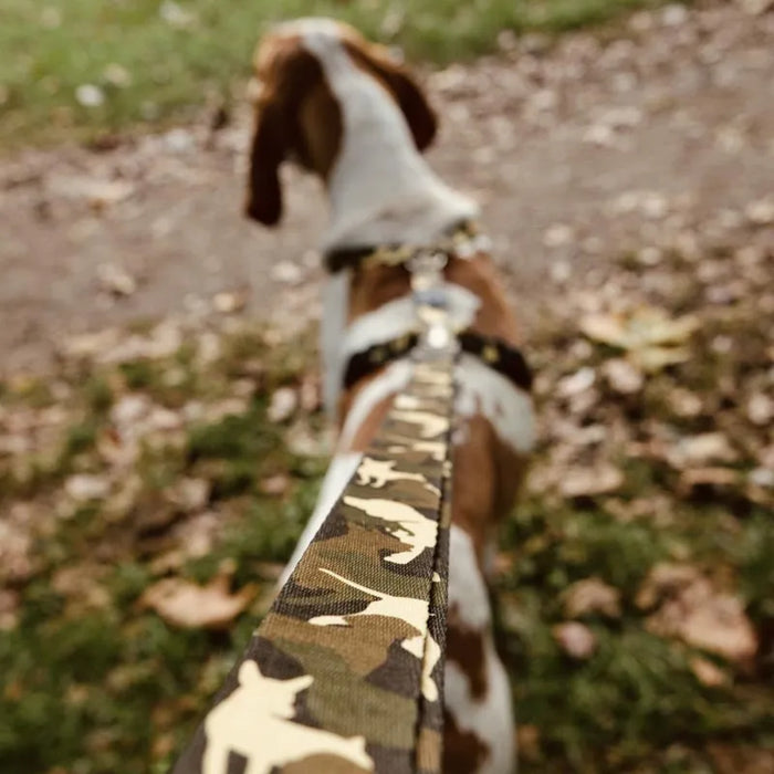 MORSO Full Metal Dog Multifunction Leash For Dogs
