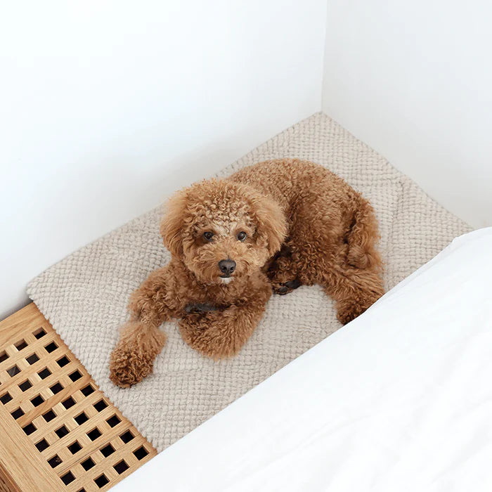 Pups & Bubs Double-Sided Snooze Home Pet Mat