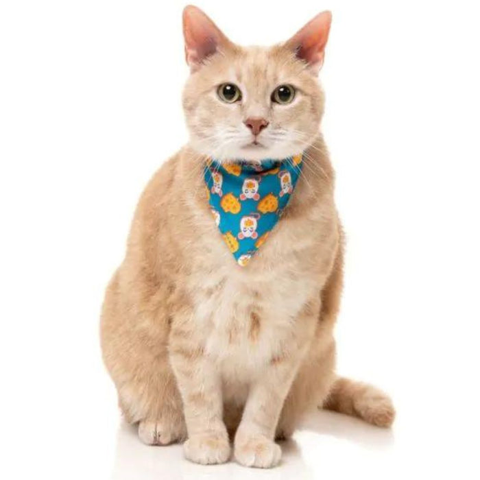 15% OFF: FuzzYard Cheesy Hearts Fashion Pack For Cats