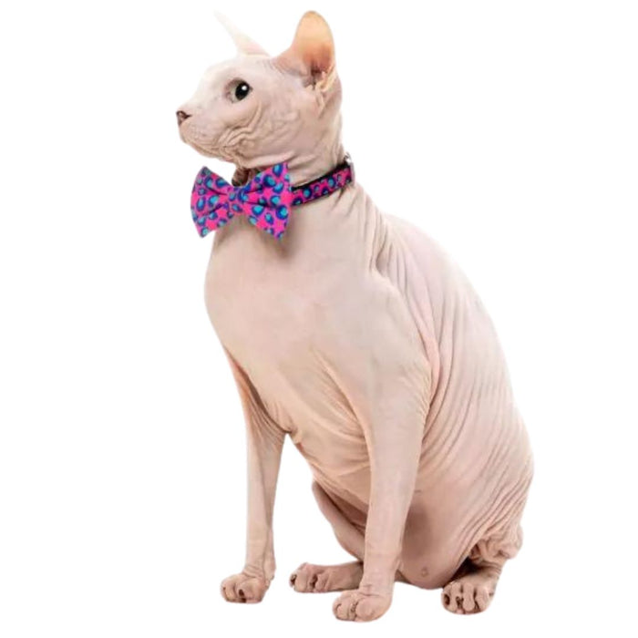 15% OFF: FuzzYard Wild One Bubblegum Fashion Pack For Cats
