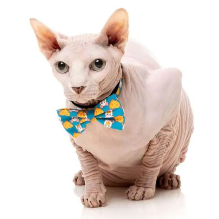 15% OFF: FuzzYard Cheesy Hearts Fashion Pack For Cats