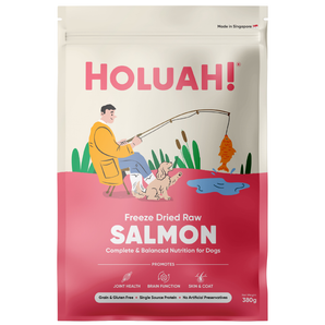 20% OFF: Holuah! Freeze-Dried Raw Salmon Food For Dogs
