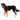 Ruffwear Front Range® River Rock Green Harness For Dogs