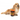 [HALLOWEEN 🎃 👻 ] 15% OFF: FuzzYard Peek-A-Boo Pumpkin Spice Latte Plush Dog Toy