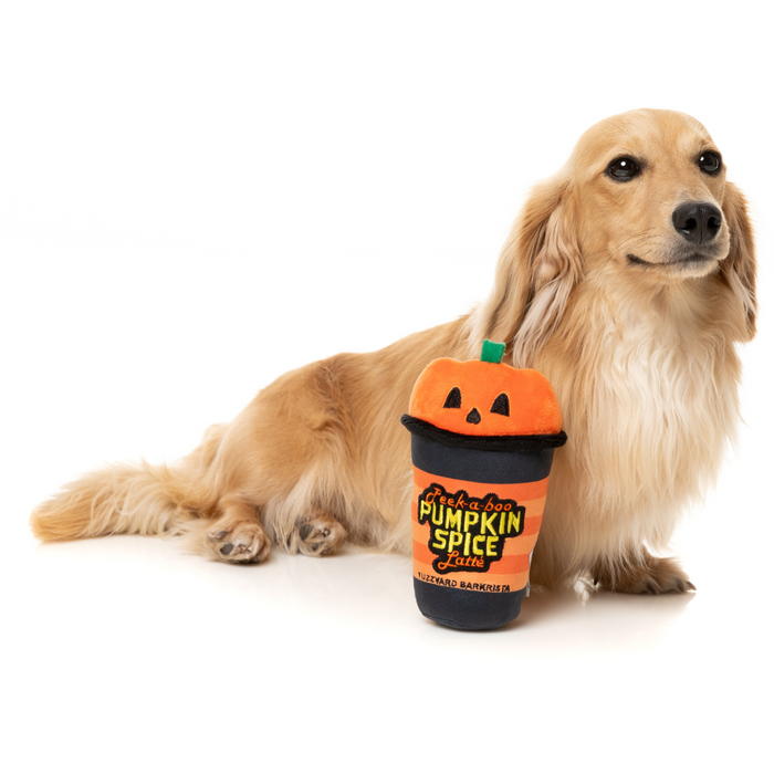 [HALLOWEEN 🎃 👻 ] 15% OFF: FuzzYard Peek-A-Boo Pumpkin Spice Latte Plush Dog Toy