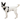 Ruffwear Front Range® Basalt Gray Flex Harness For Dogs