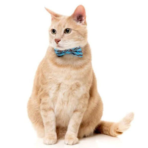 15% OFF: FuzzYard Soy Sauce Fish Fashion Pack For Cats