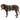 Ruffwear Flagline™ Sage Green Harness With Handle For Dogs