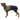 Ruffwear Sun Shower™ Coverall Midnight Blue Rain Suit For Dogs