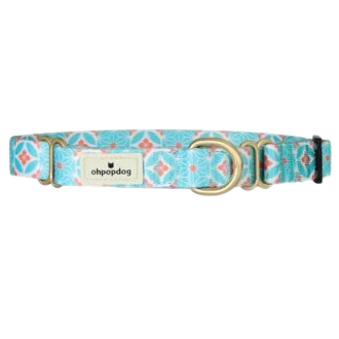 10% OFF: Ohpopdog Heritage Collection Straits Mint Martingale Nylon Collar