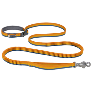 Ruffwear Roamer™ Yellow Snow  Bungee Lead For Dogs