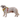 Ruffwear Hi & Light™ Lightweight Lichen Green Harness For Dogs