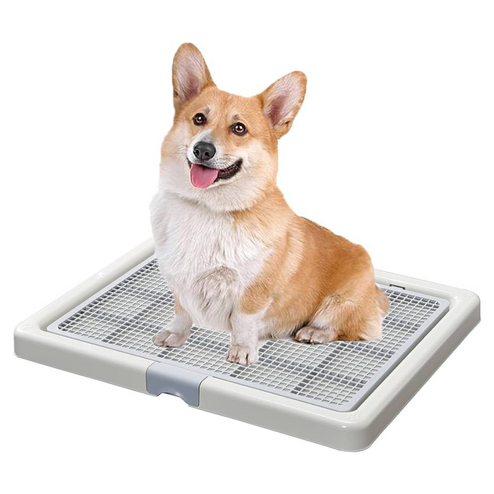 20% OFF: Smart Paws Pee Tray
