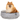 FuzzYard Vinca Reversible Pet Bed