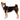 Ruffwear Front Range® Basalt Gray Harness For Dogs