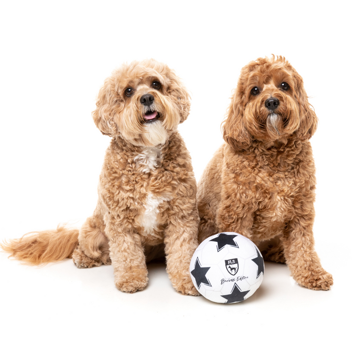 15% OFF: FuzzYard Soccer Ball Plush Dog Toy