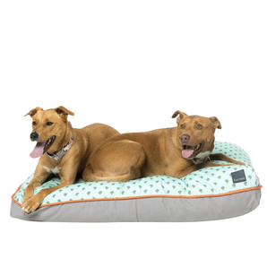 FuzzYard Tucson Big Dreamer Pillow