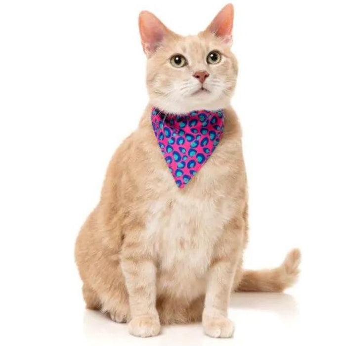 15% OFF: FuzzYard Wild One Bubblegum Fashion Pack For Cats