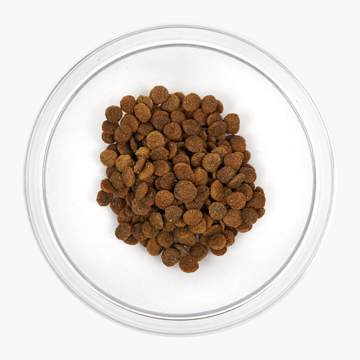20% OFF: Nurture Pro Nourish Life Slow-Cooked Chicken Formula Puppy & Adult Dry Dog Food
