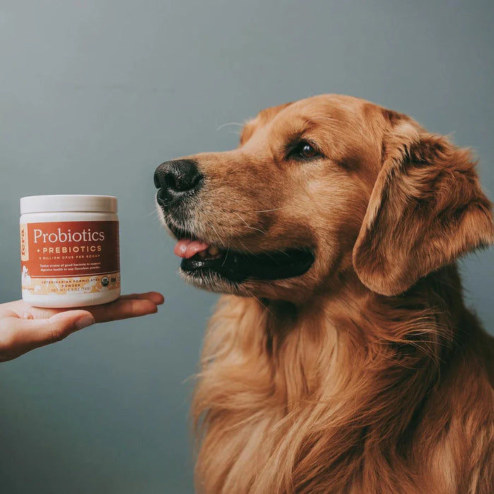 Fera probiotics top