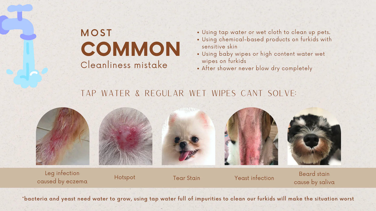 For Furry Friends Pet’s Activated Water Sanitizer (P.A.W.S)