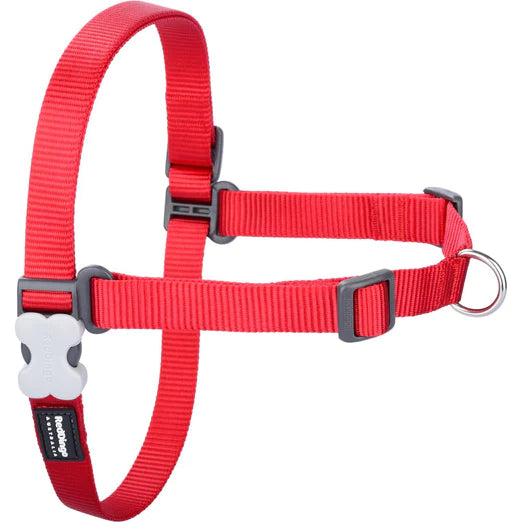Red Dingo Red No Pull Harness