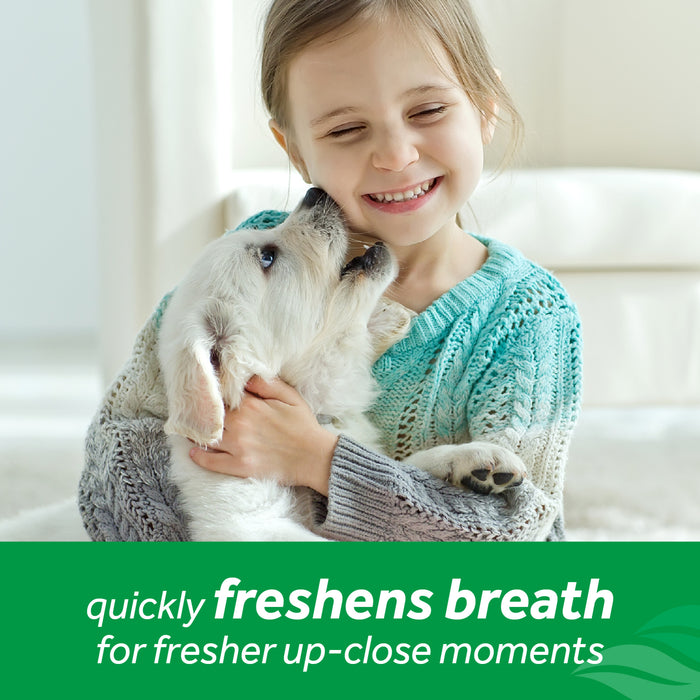 20% OFF: TropiClean Fresh Breath Oral Care Foam For Dogs