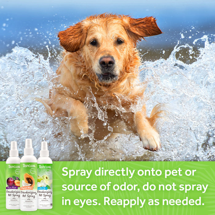 20% OFF: TropiClean Pure Plum Deodorizing Pet Spray