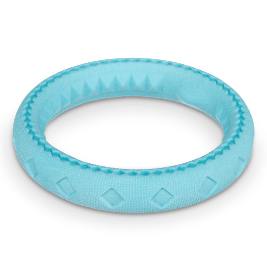 10% OFF: Messy Mutts Teal Totally Pooched Chew n' Tug Ring Foam Rubber Dog Toy