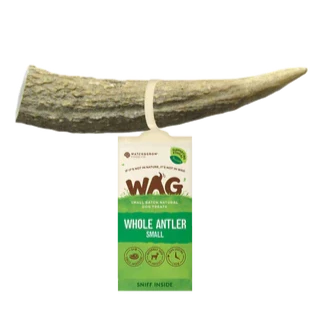 WAG Whole Deer Antler Chews For Dogs