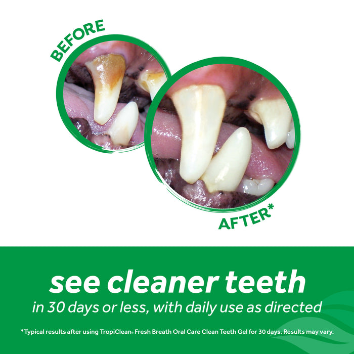 20% OFF: TropiClean Fresh Breath Dental Oral Care Clean Teeth Gel For Dogs