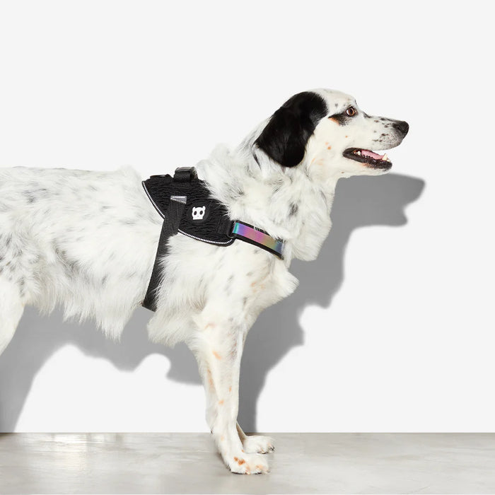 10% OFF: Zee Dog Gotham FlyHarness For Dogs