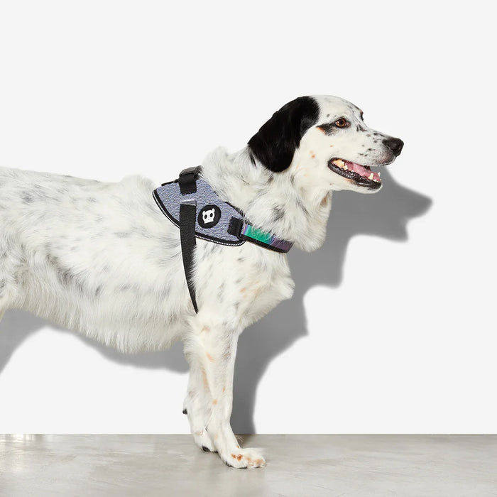 10% OFF: Zee Dog Urban FlyHarness For Dogs