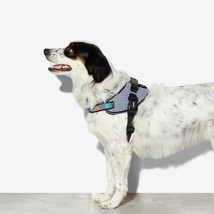 10% OFF: Zee Dog Urban FlyHarness For Dogs