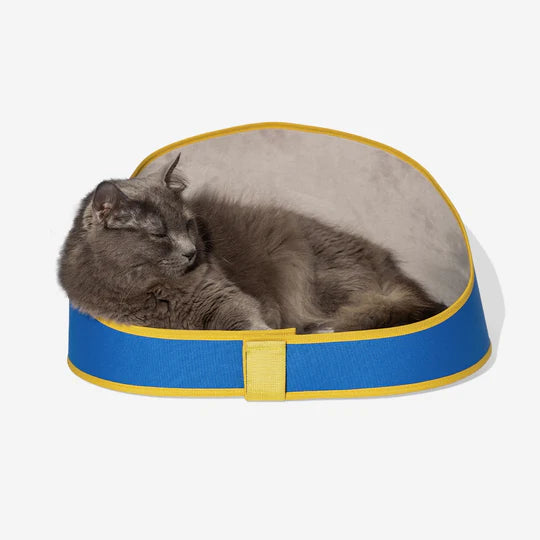 10% OFF: Zee Cat Polo Bed