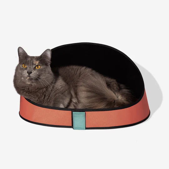 10% OFF: Zee Cat Terracotta Bed