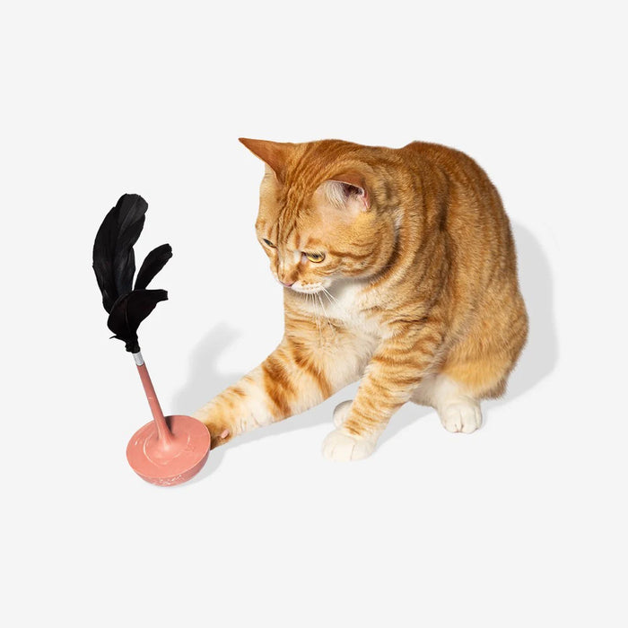 10% OFF: Zee Cat Citrus Teaser Toy