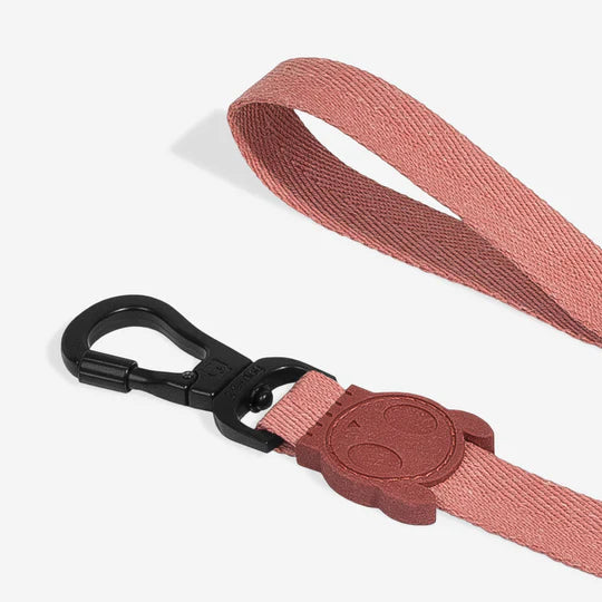 10% OFF: Zee Dog Canyon Leash For Dogs