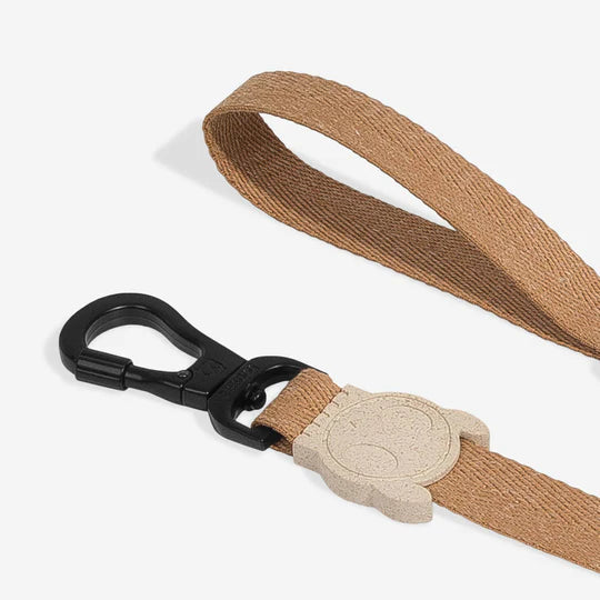 10% OFF: Zee Dog Dune Leash For Dogs