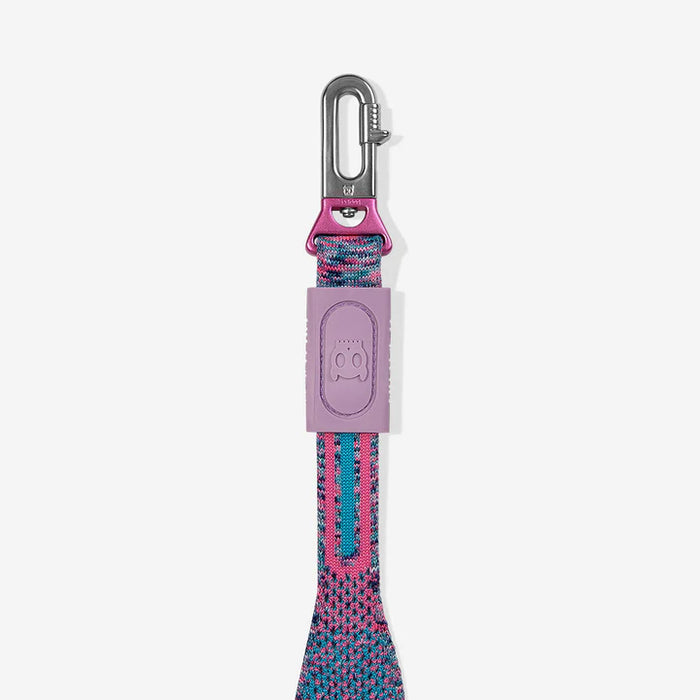 10% OFF: Zee Dog NitLeash Candy Leash For Dogs