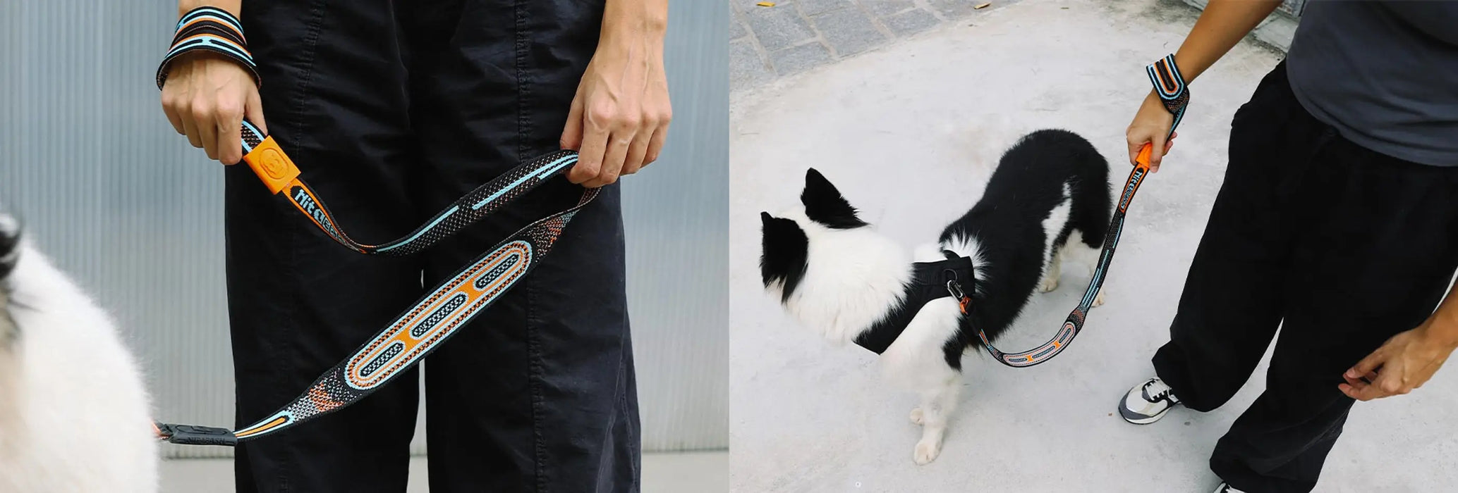 10% OFF: Zee Dog NitLeash Chron Leash For Dogs