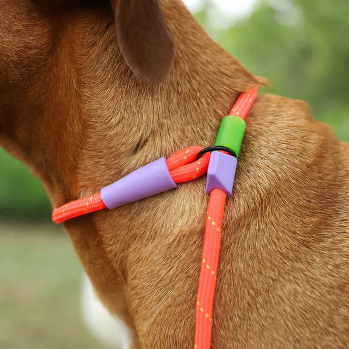 10% OFF: Zee Dog Slip-N-Lock Everest Leash For Dogs